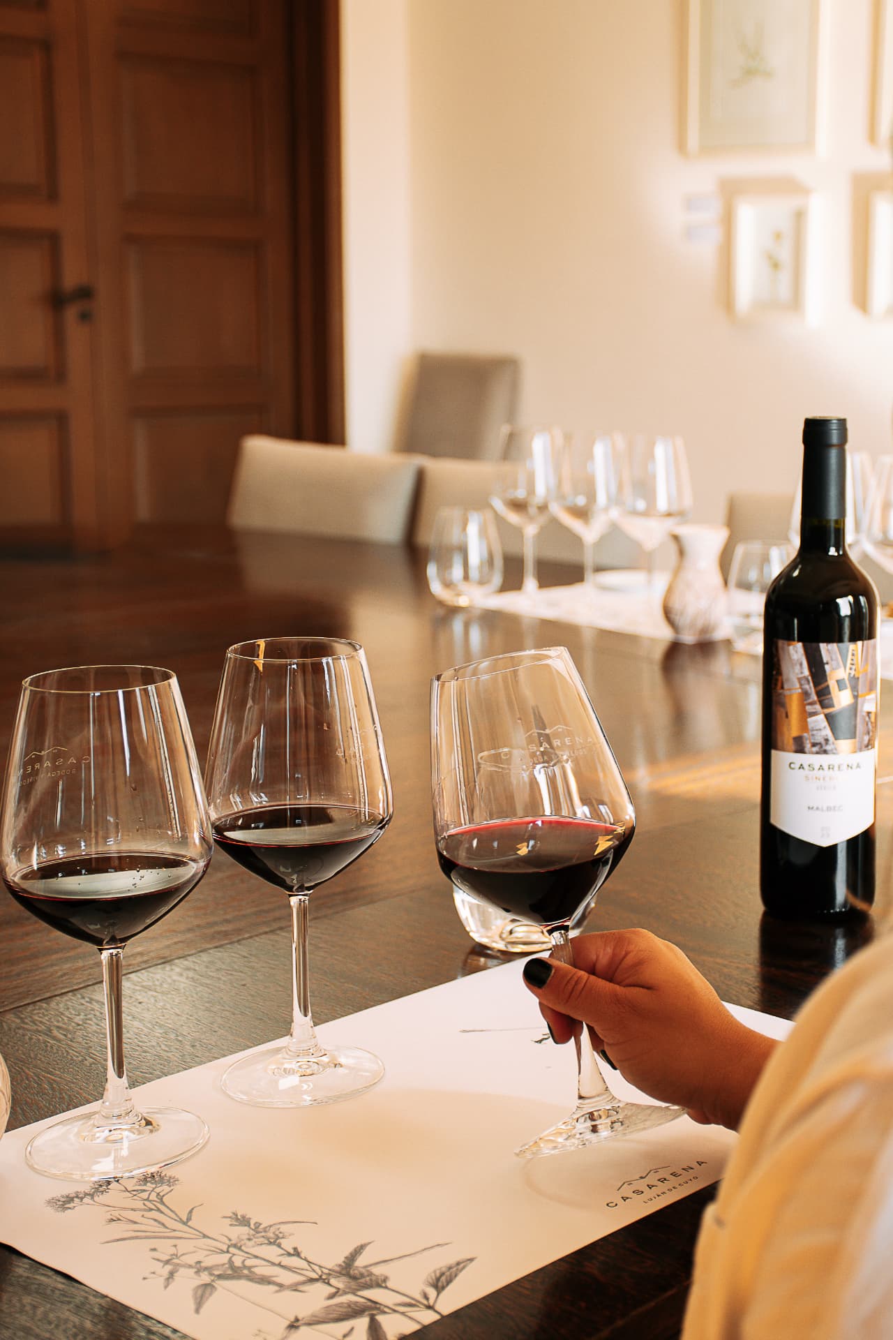 Copas de vino Casarena servidas en una degustación en la bodega